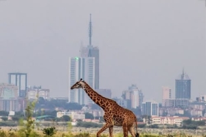 NAIROBI NATIONAL PARK