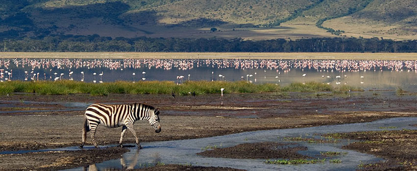 05 DAYS LAKE MANYARA, SERENGETI NATIONAL PARK, NGORONGORO CRATER AND TARANGIRE NATIONAL PARK AMAZING BUDGET SAFARI